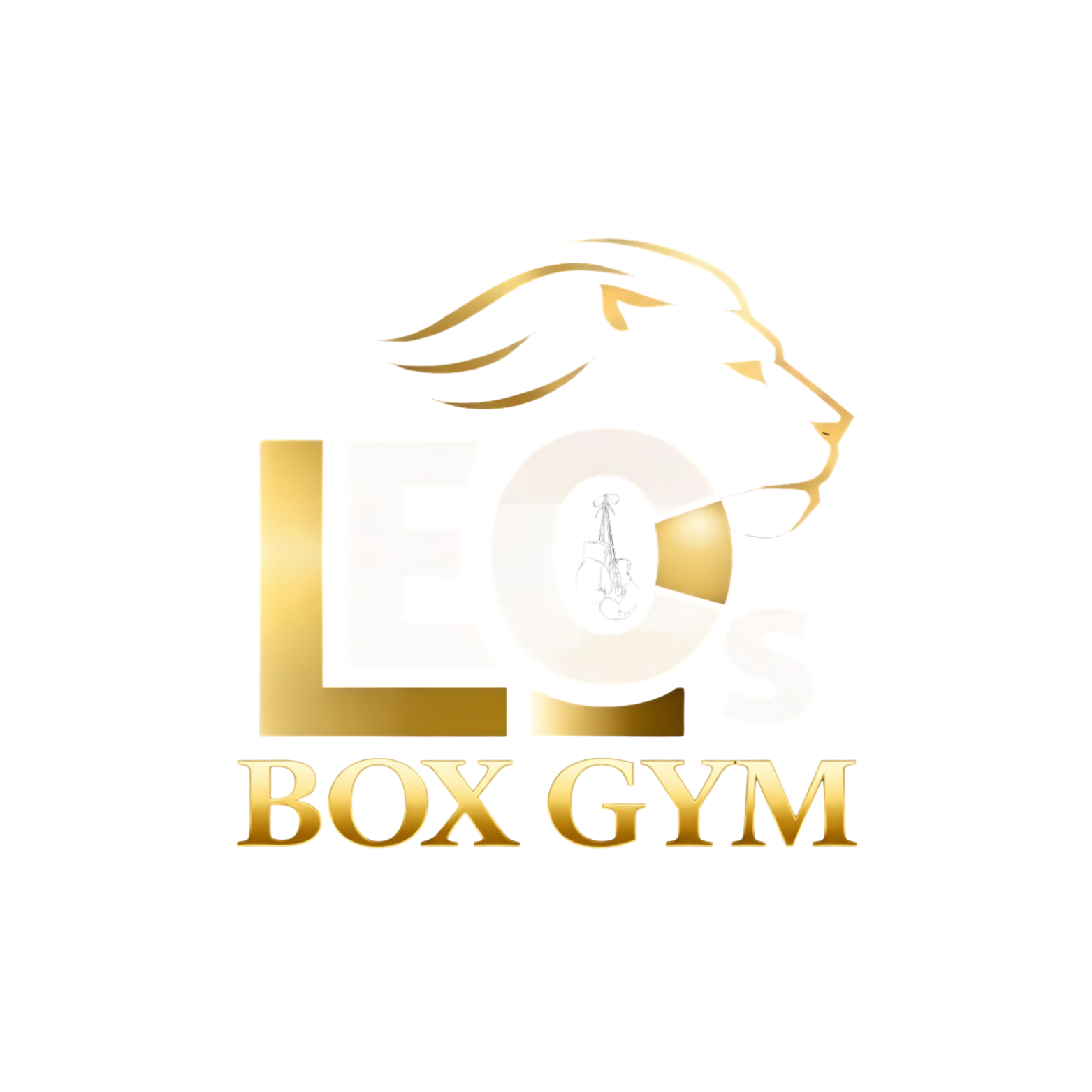 Leo's Boxgym